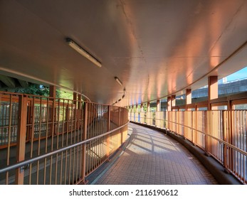 Footbridge And Bridges Around Shing Mun River