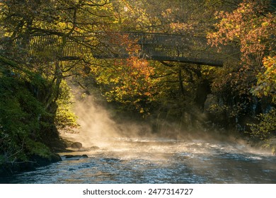 A footbridge over a misty river on a fresh Autumn morning with sunlight lighting the foliage. River Brathay, Langdale, Lake District, UK. - Powered by Shutterstock