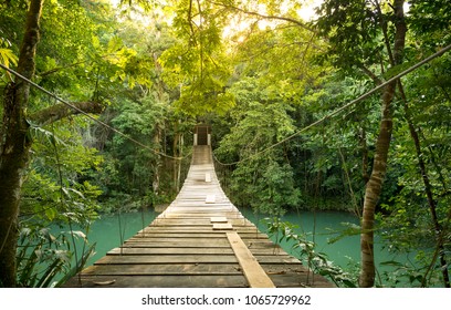 Footbridge Over River In Tranquil Forest In Belize