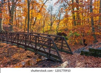A footbridge surrounded by Autumn colors along this hiking trail near Smithville Village in Burlington County New Jersey.