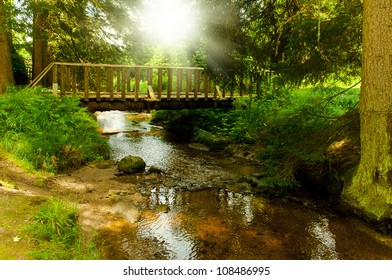 Footbridge Through Green Forest