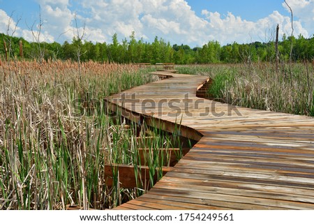Footbridge through wetland,  Curvy Wooden Board walk across marshland after rain during sunny spring day