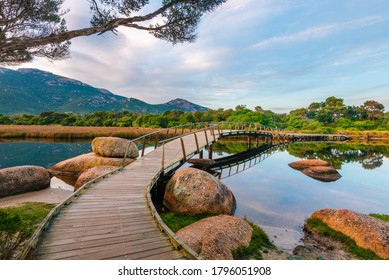 Footbridge at Tidal River, Wilsons Promontory with surrounding trees and rocks at sunrise