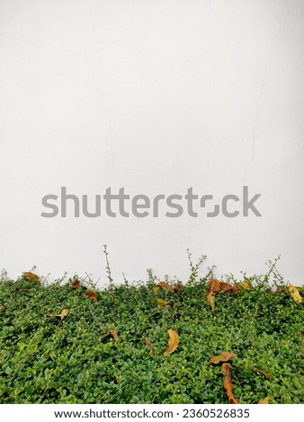 Similar – greenwall Bushes Green