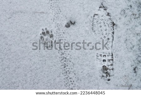 Similar – Barefoot tracks in the snow