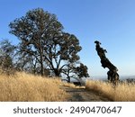 Foothill Regional Park, Sonoma County, California