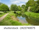 Footpath beside River Great Ouse. Countryside scene in summer, Stony Stratford Nature Reserve Milton Keynes UK