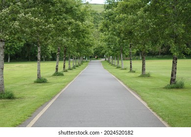 A footpath between tree rows in a park