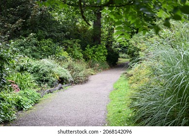 A Footpath By Malpas Pond Near Truro