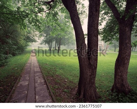 Footpath in a city park. Background in a fog. Mist in town. Calm nature scene. Nobody. Mistry surreal calm mood. Relaxing atmosphere and melancholic nature vibe. Nobody. Imagine de stoc © 