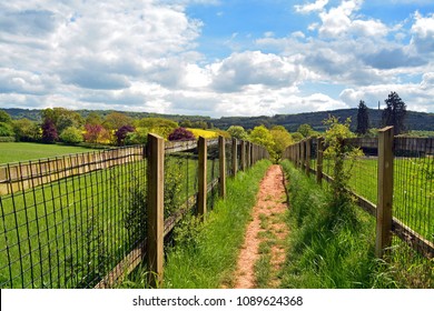 A footpath in the countryside near Wellington in Somerset, UK, leading to the Blackdown Hills and the Wellington Monument, between two fenced in fields.