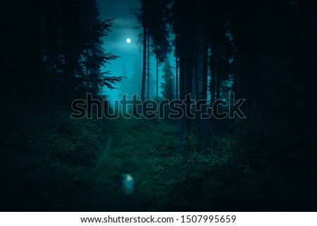 Footpath in the dark, foggy, mysterious forest. Full moon on the sky with reflection in the puddle on trail at spruce mystery night forest. Halloween backdrop.