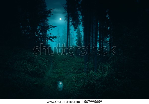 暗く霧がかった謎めいた森の中の歩道春の謎の夜の森の水たまりに映る満月 ハロウィーンの背景 の写真素材 今すぐ編集