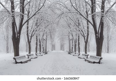 Footpath In A Fabulous Winter City Park