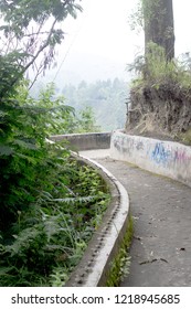 footpath in the forest
