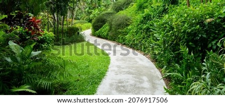 Footpath in garden with beautiful tree