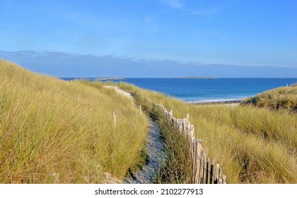 3,712 Grassy dunes Images, Stock Photos & Vectors | Shutterstock