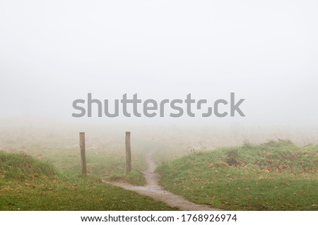 Similar – Image, Stock Photo Misty November Environment