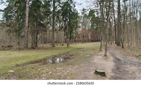 A Footpath Leads Through The City Park To The Residential Brick Houses. It Is Slushy After The Rain, And The Sky And Trees Are Reflected In The Puddle. The Grass Begins To Turn Green After Winter