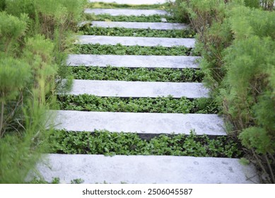 a footpath made of concrete cement that is between the parks in Surabaya - Powered by Shutterstock