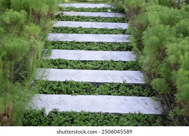 a footpath made of concrete cement that is between the parks in Surabaya - Powered by Shutterstock