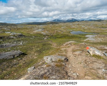 Footpath In Northern Artic Landscape, Tundra In Swedish Lapland With Green Hills, Blue Lakes And Mountains At Padjelantaleden Hiking Trail. Summer Day, Blue Sky, White Clouds