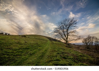 Footpath On Wolstonbury Hill, South Downs, Sussex, UK At Sundown In Autumn.