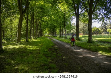 a footpath in the park