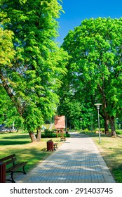 the footpath in park
