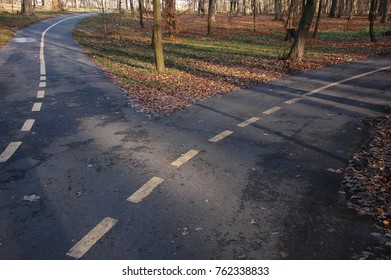 A footpath in the park in the fall.