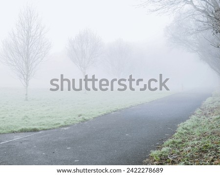 Footpath in a park in a fog between trees, selective focus. Misty weather makes surreal dream like nature scene. Nobody. Calm and peaceful atmosphere