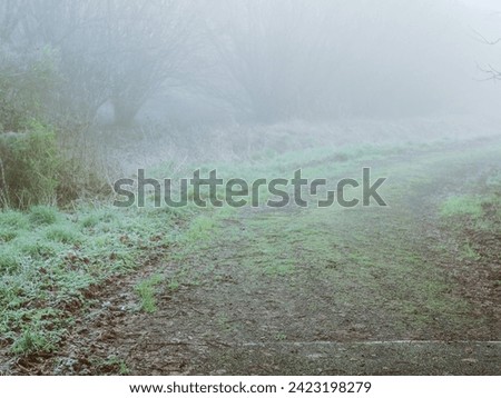 Footpath in a park in a fog. Misty weather makes surreal dream like nature scene. Nobody. Calm and peaceful atmosphere