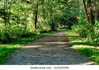 footpath in the park , image taken in north germany, north europe