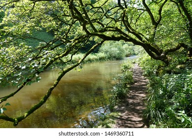 The Footpath At The Side Of The River Wye, Chee Dale Near Buxton, Which Passes Under A Moss Laden Tree Into The Distance.