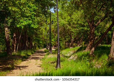 Footpath in spring Park
