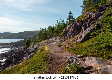 A footpath or trail along the edge of the Atlantic Ocean. There are scattered small evergreen trees in a meadow, large rocks on a beach, and small rolling hills. The sky is dramatic with wispy clouds.