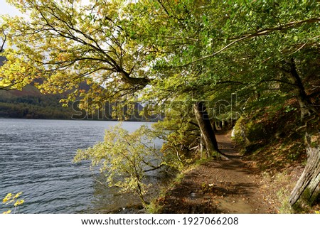 Footpath and trees around Lake Buttermere Cumbria 