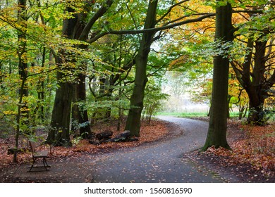 Footpath And Trees In Autumn In Park Kralingse Bos In Rotterdam In The Netherlands