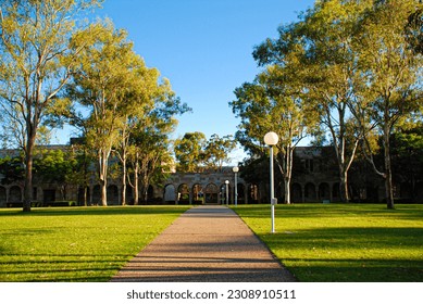 Footpath walkway leading to university campus with trees on both sides and green grass lawn field with lamp posts on one side of the footpath walkway