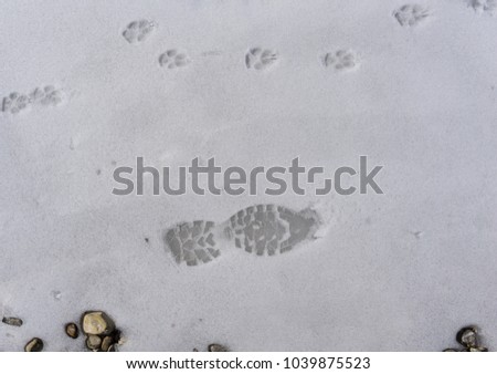 Similar – Barefoot tracks in the snow