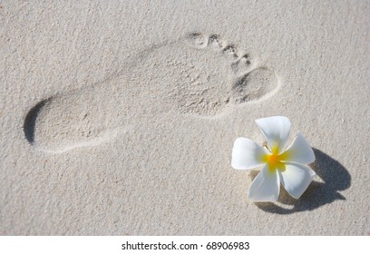 Footprint And Frangipani Flower On White Sand Tropical Beach