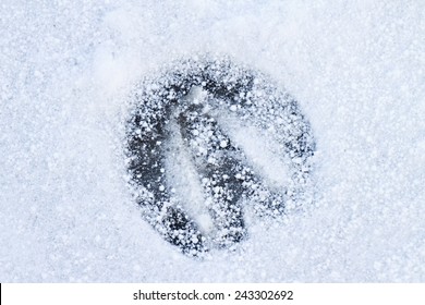 Footprint Of A Horse In Snow