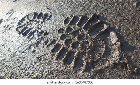 Footprint in mud. Hiking in wilderness.