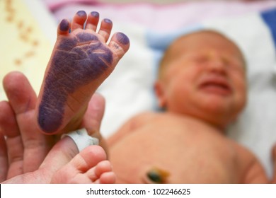 Footprint Of A Newborn