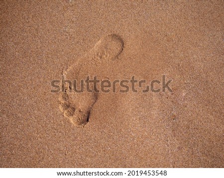 a footprint on the beach