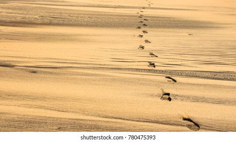 Footprint On Somalia Beach