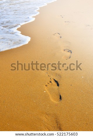 Footprint over the sand of the shoreline in summer