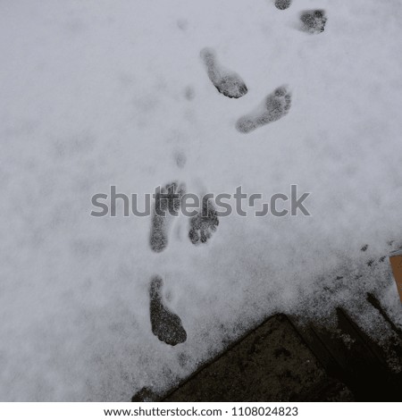 Similar – Barefoot tracks in the snow