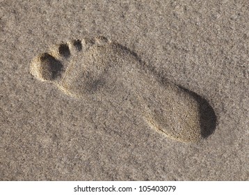 Footprint In The Wet Sand, View From Above