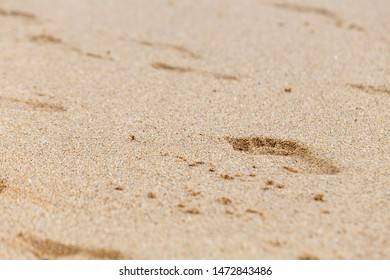 Footprints Bare Feet On Wet Beach Stock Photo Shutterstock